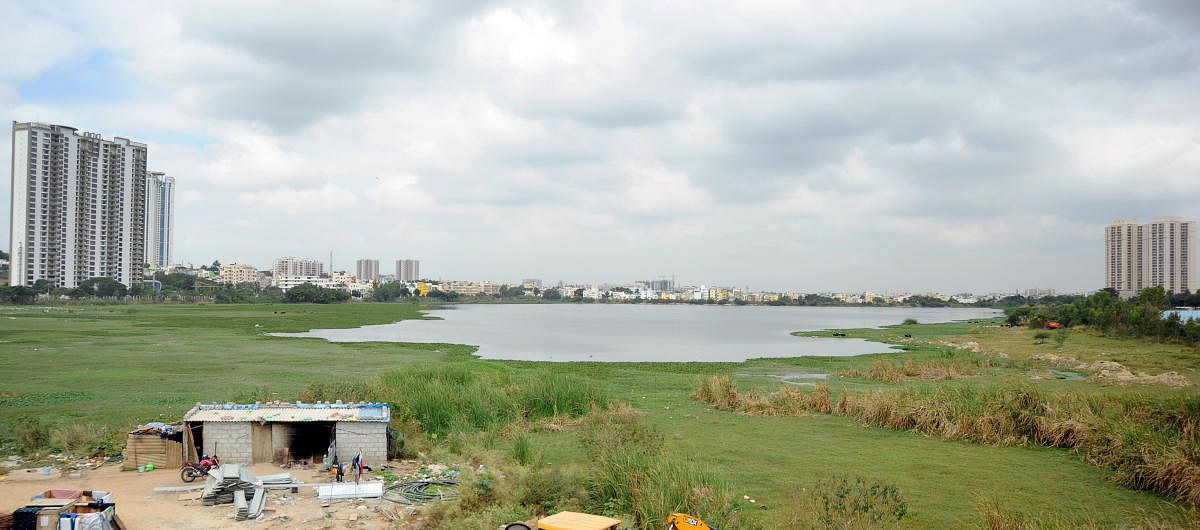 The high court asked the BBMP to initiate a joint eviction drive with the state government to clear buildings on encroached land and buffer zones around waterbodies.