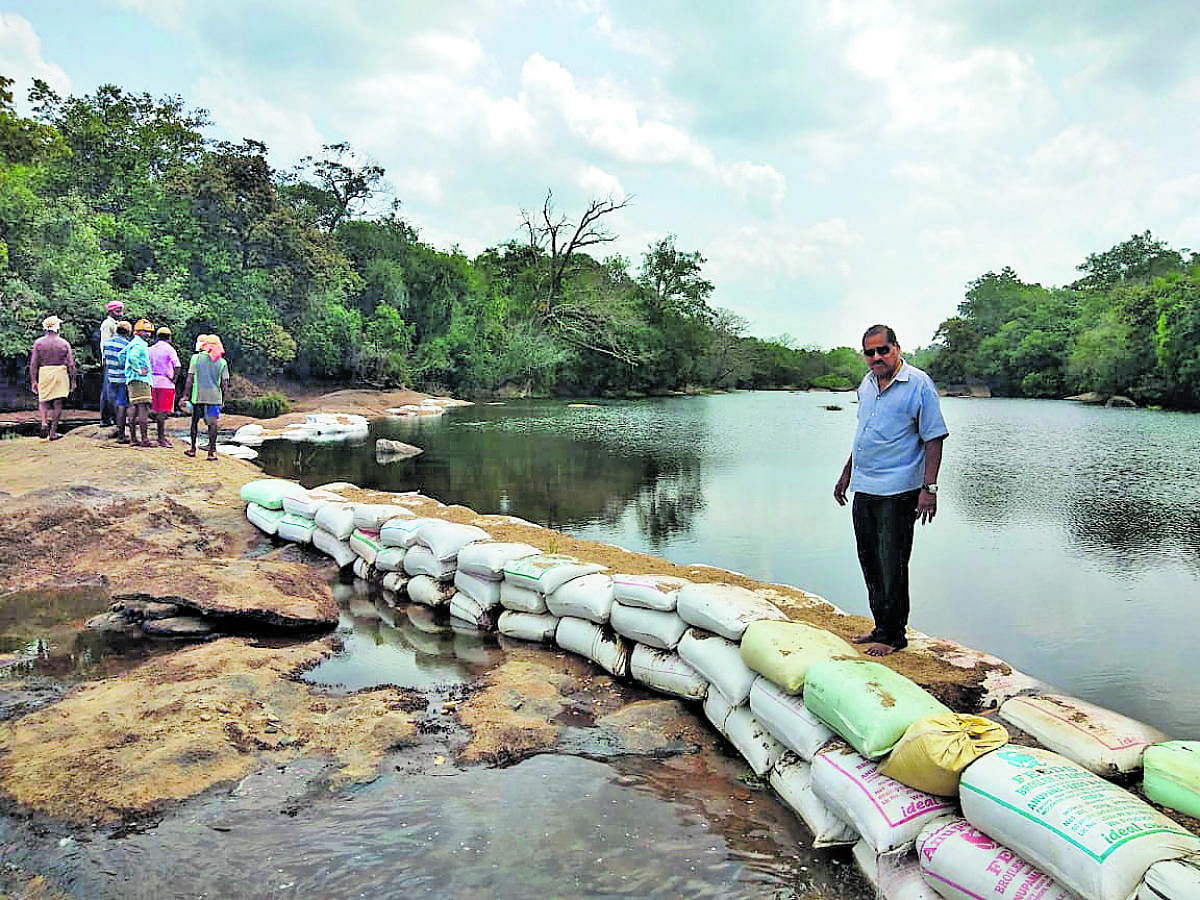 The Bund constructed with sand bags across River Seetha that flows at Handikallu in Hebri.