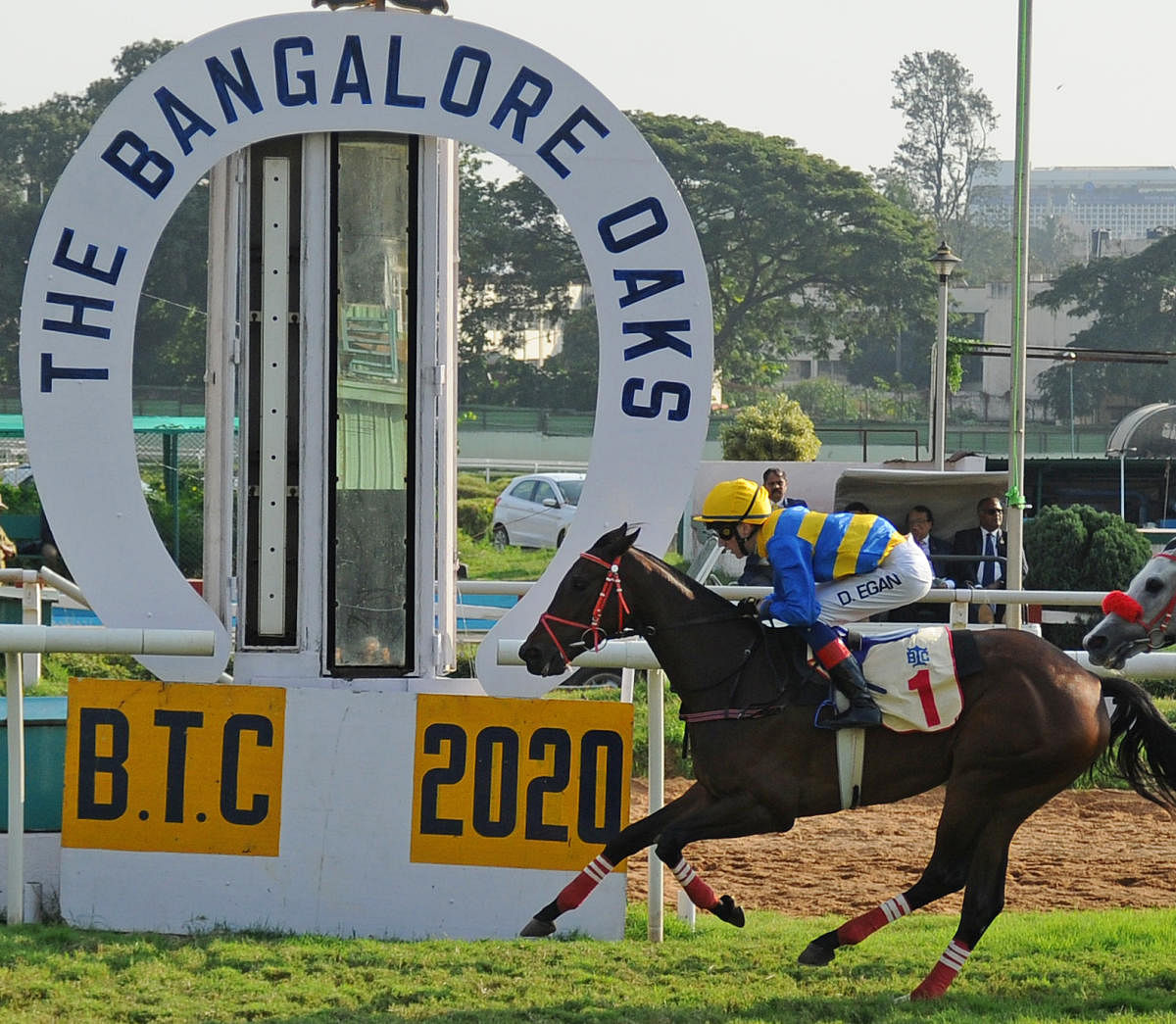 Jockey David Egan on horse Anjeze wins the Bangalore Oaks (Grade II) at Bangalore Turf Club in Bengaluru on Saturday. | DH Photo: Pushkar V