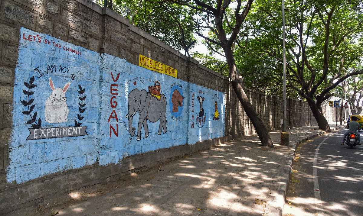 Lalbagh Compound wall Siddapura Road in Bengaluru on Wednesday. (Photo by S K Dinesh)