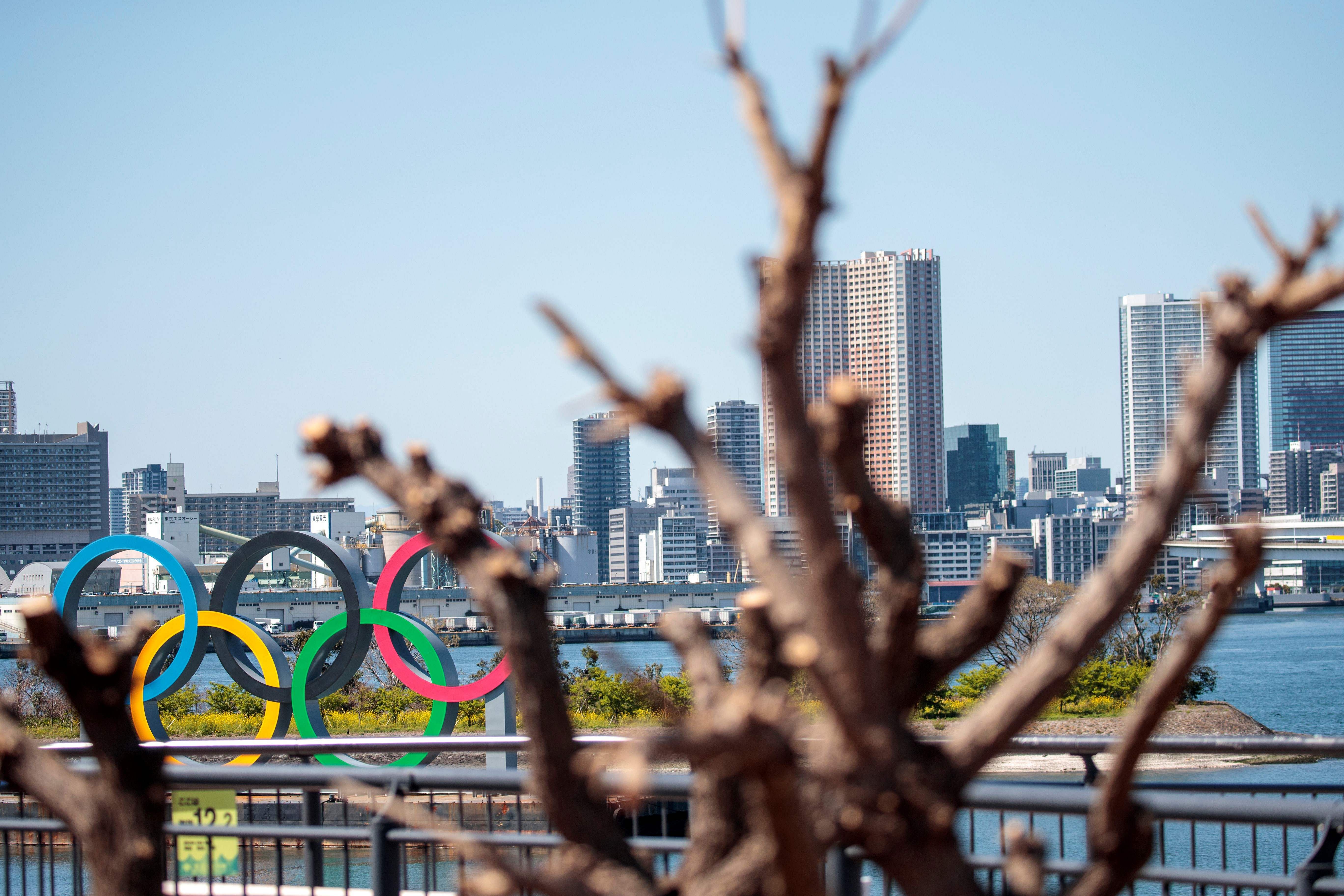 The Olympic rings are seen through the branches of a tree in Tokyo's Odaiba district. (Credit: AFP)