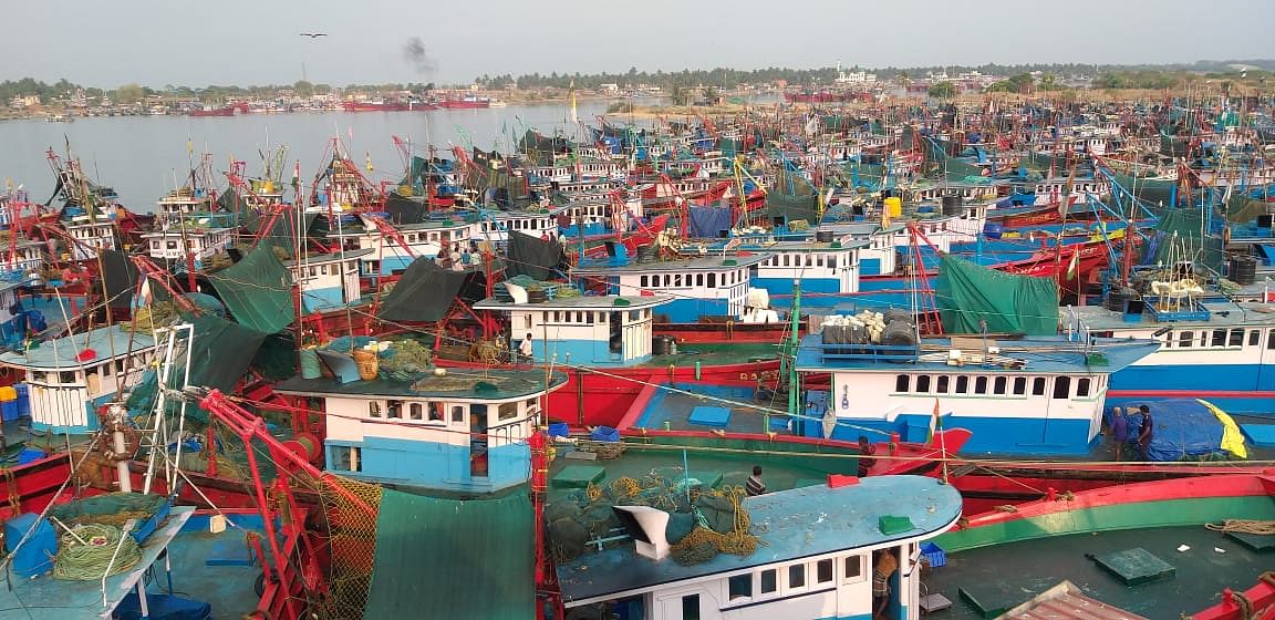 Boats anchored at Old Port Dakke in Mangaluru. (Credit: DH photos/ Govindraj Javali)