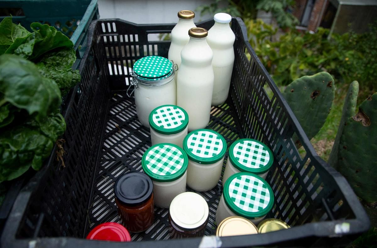 Milk container (Image for representation /AFP Photo)