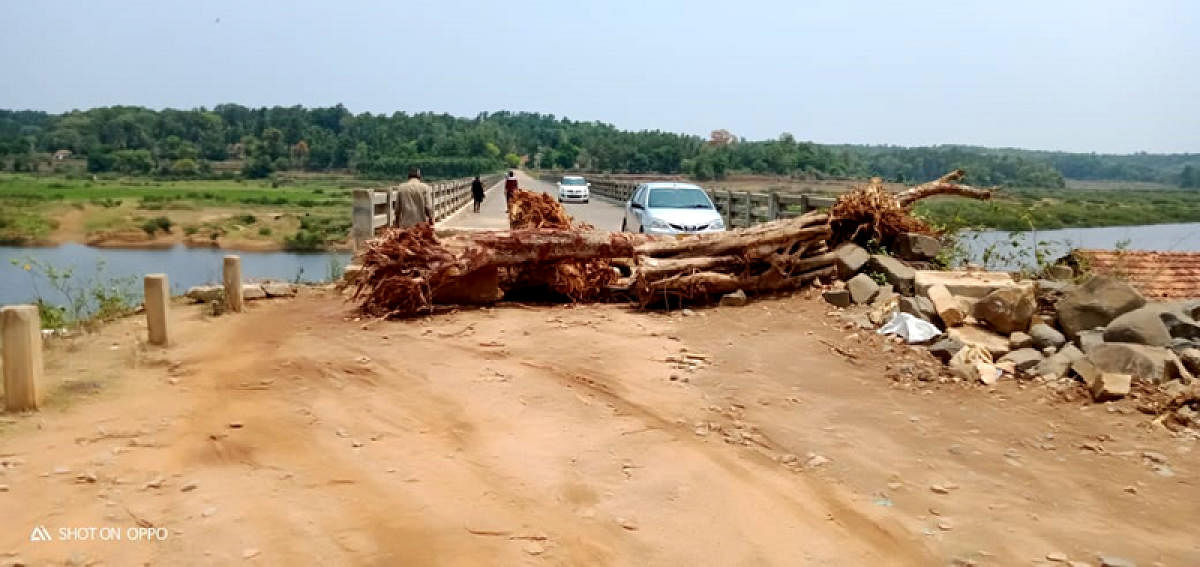 The bridge across the Hemavathi river at Kalakoldi, has been blocked using logs. DH Photo