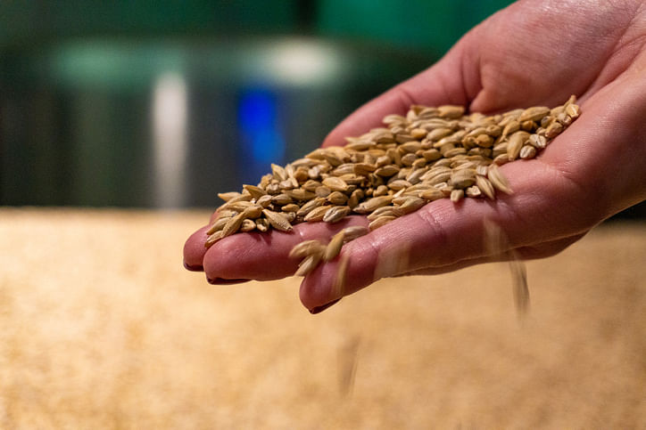 Wheat in hand (iStock Photo)
