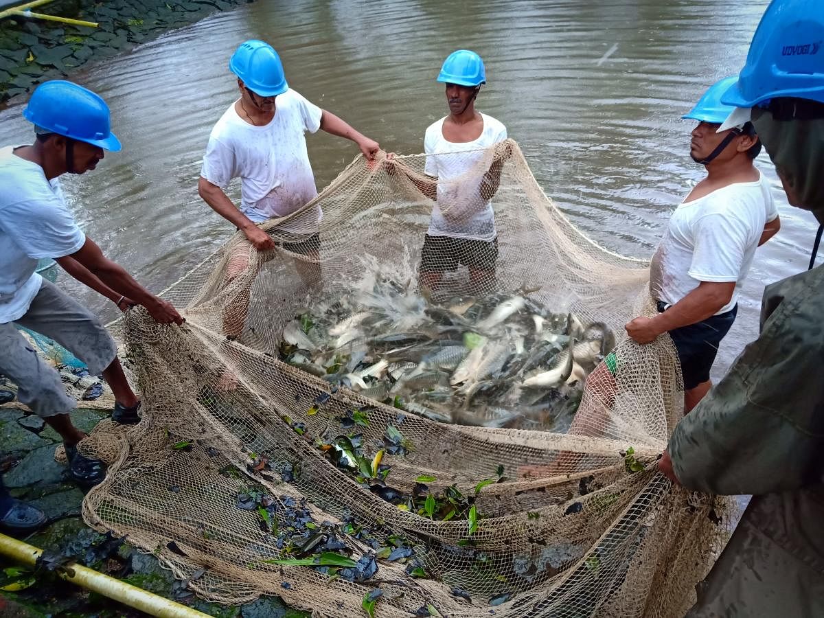 Fishing activity in KArnataka (DH Photo)