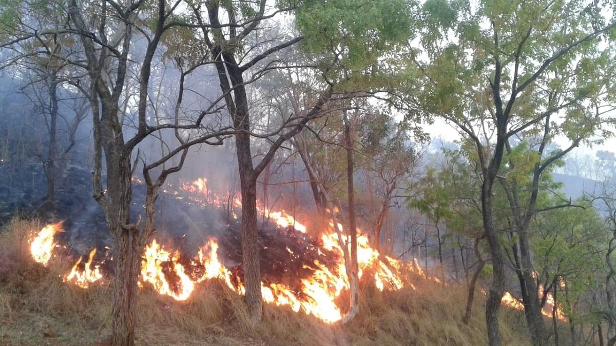 Fire that was spotted at Kothanuru range, coming under Cauvery Wildlife Range in Hanur taluk, Chamarajanagar district, on Wednesday.