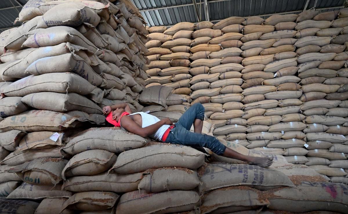  A labourer takes a nap on sacks at FCI godown during a nationwide lockdown to curb the spread of coronavirus, in Jabalpur, Wednesday, April 15, 2020. (PTI Photo)