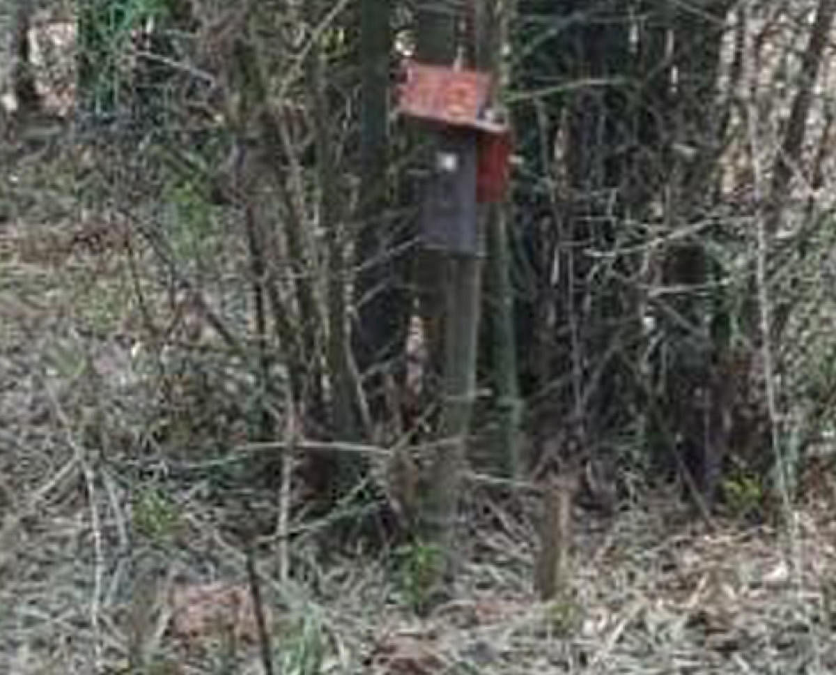 A camera trap placed at Lakkavalli range of Bhadra Reserve Forest.