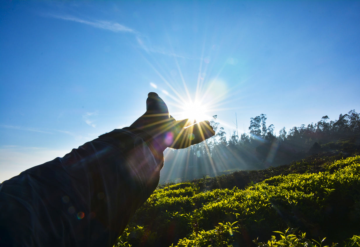 Representative photo (Credit: iStock)