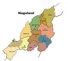 Voters out in large numbers in Nagaland