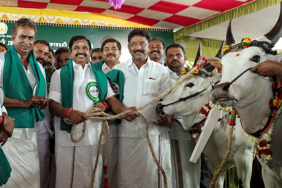 Making an announcement in the Assembly under Rule 110, Chief Minister Edappadi K Palaniswami said his government was committed to fulfilling the dream of late AIADMK chief J Jayalalithaa who wanted the benefits of the economic development to reach every section of the society. (PTI File Photo)