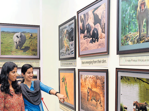Visitors take a look at the photographs on display at the Karnataka Chitrakala Parishat on Friday. DH Photo