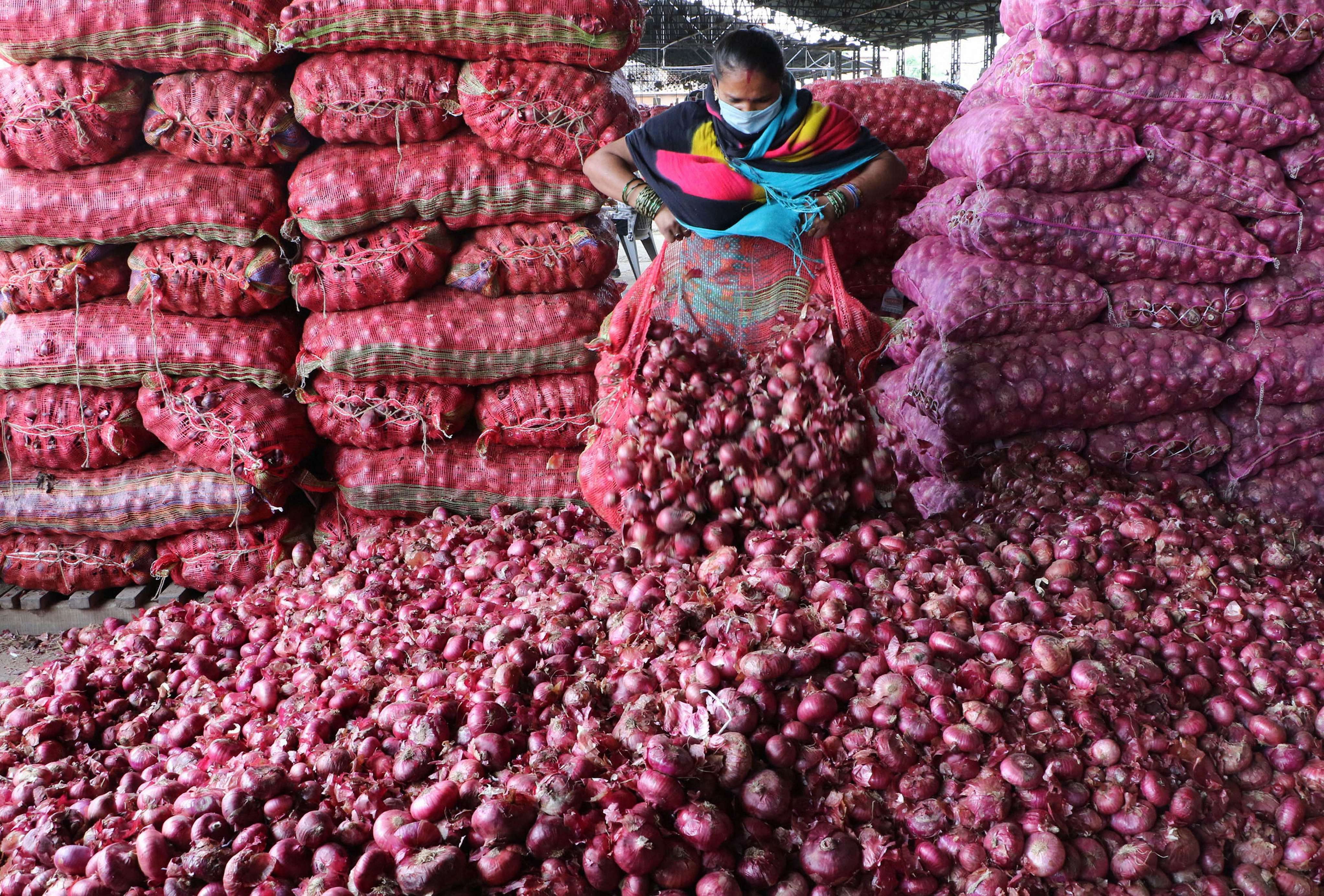 Imported onions were dispatched to states such as Andhra Pradesh, Kerala, Telangana, Chandigarh, Uttar Pradesh, Assam, Uttrakhand, Himachal Pradesh, West Bengal, and Goa among others.(PTI photo)