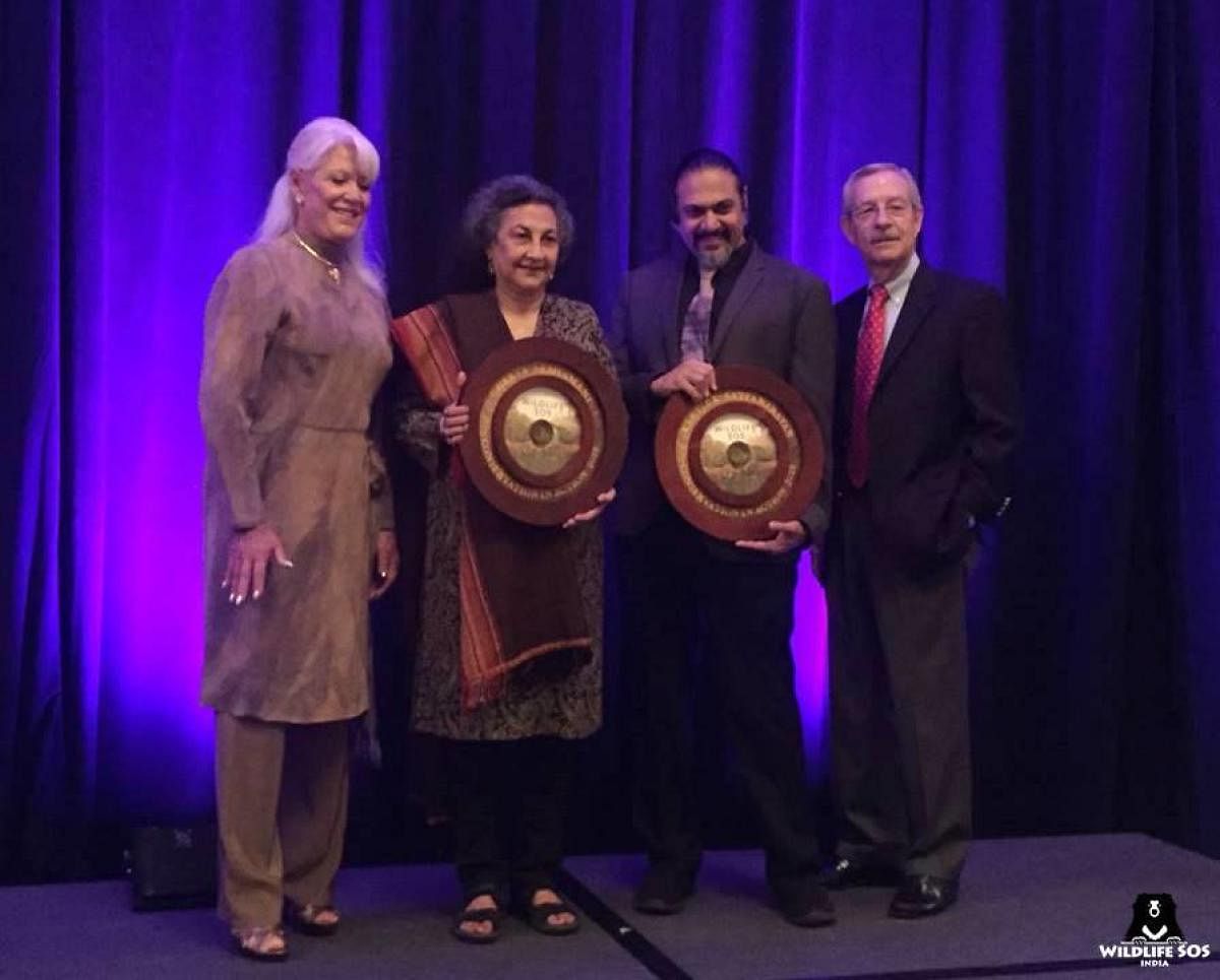 Wildlife SOS cofounders Karitck Satyanarayan and Geeta Seshamani receive the prestigious international Lifetime Achievement Award from San Dieo Zoo Global. 