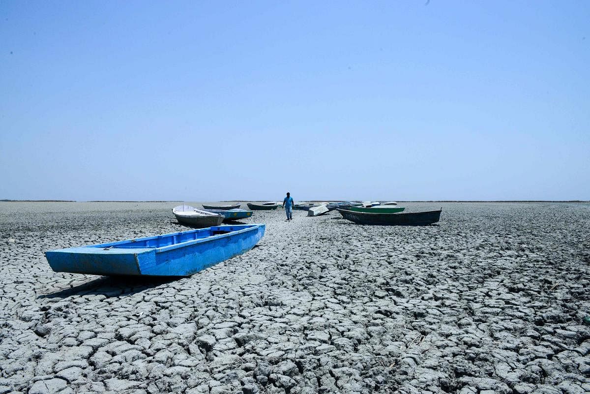Because of less monsoon rains last year and current heatwave conditions, the Nalsarovar Bird Sanctuary, which attracts thousands of migratory birds every year, had dried up in June 2019. (Photo by AFP)
