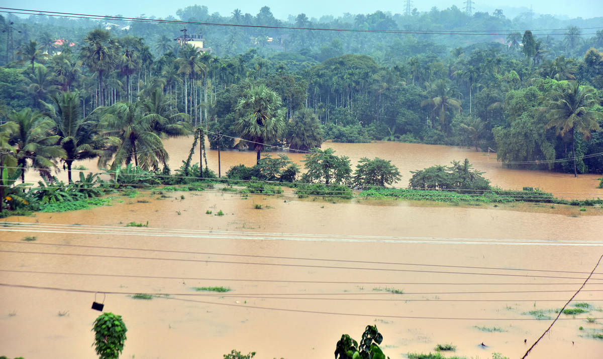 The state sought Rs 10 000 crore relief from the Centre to take up relief works in calamity hit areas. (DH File Photo)