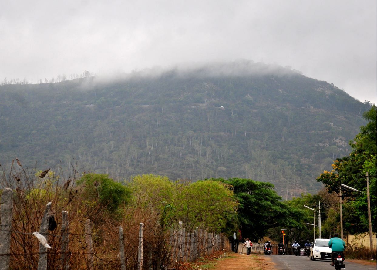 A view of the Chamundi Hill. (DH Photo)