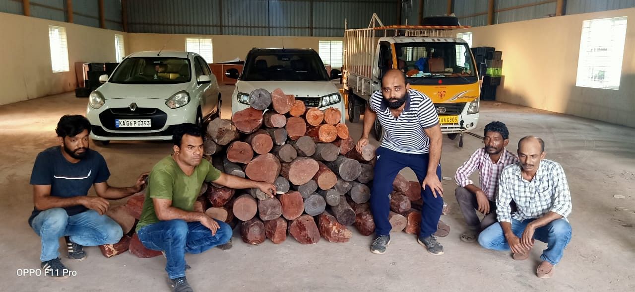 The police have arrested five persons and seized red sandalwood worth Rs 2 crore. (DH photo)