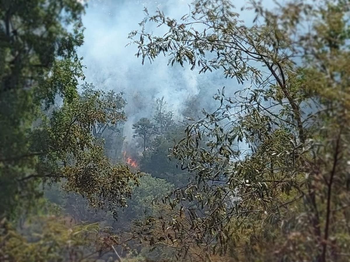 The smoke which was caused due to fire at the Cauvery wildlife sanctuary in Hanur taluk, Chamarajanagar district on Wednesday morning.