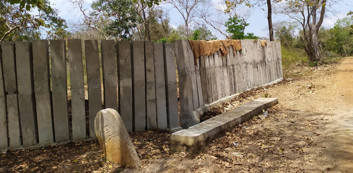 The concrete fence built at Bhadra Wildlife Division.