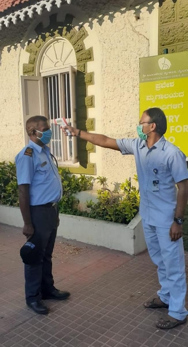 Thermal screening for a Zoo staff at Mysuru Zoo.DH Photo