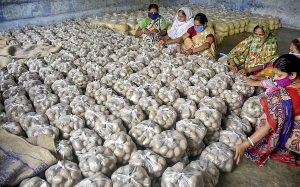 School staff prepares food packets to distribute among guardians of students as mid-day meal at a school in Murshidabad. (Credit: PTI Photo)