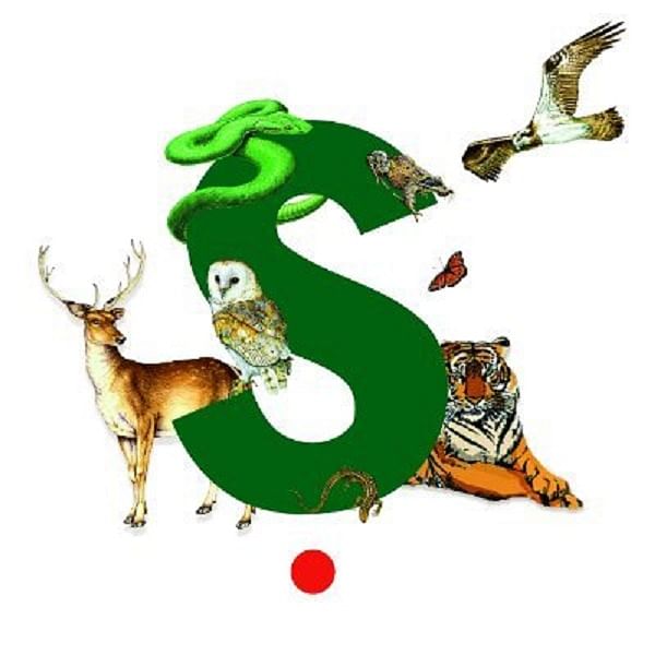 Logo of Sanctuary Nature Foundation (Twitter Photo)