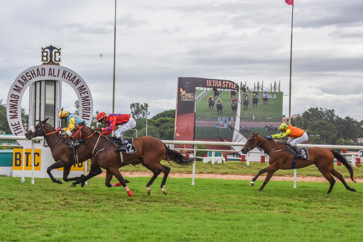 The famed turf club currently houses close to thousand horses and has upwards of 400 people tending to their daily requirements. DH FILE PHOTO