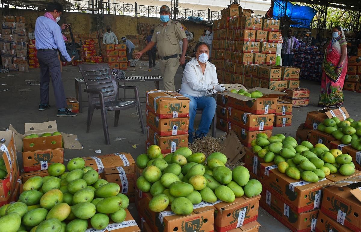 A fruit vendor waits for customers at Azadpur Sabzi Mandi during a nationwide coronavirus lockdown to curb the spread of coronavirus, in New Delhi. (PTI Photo)