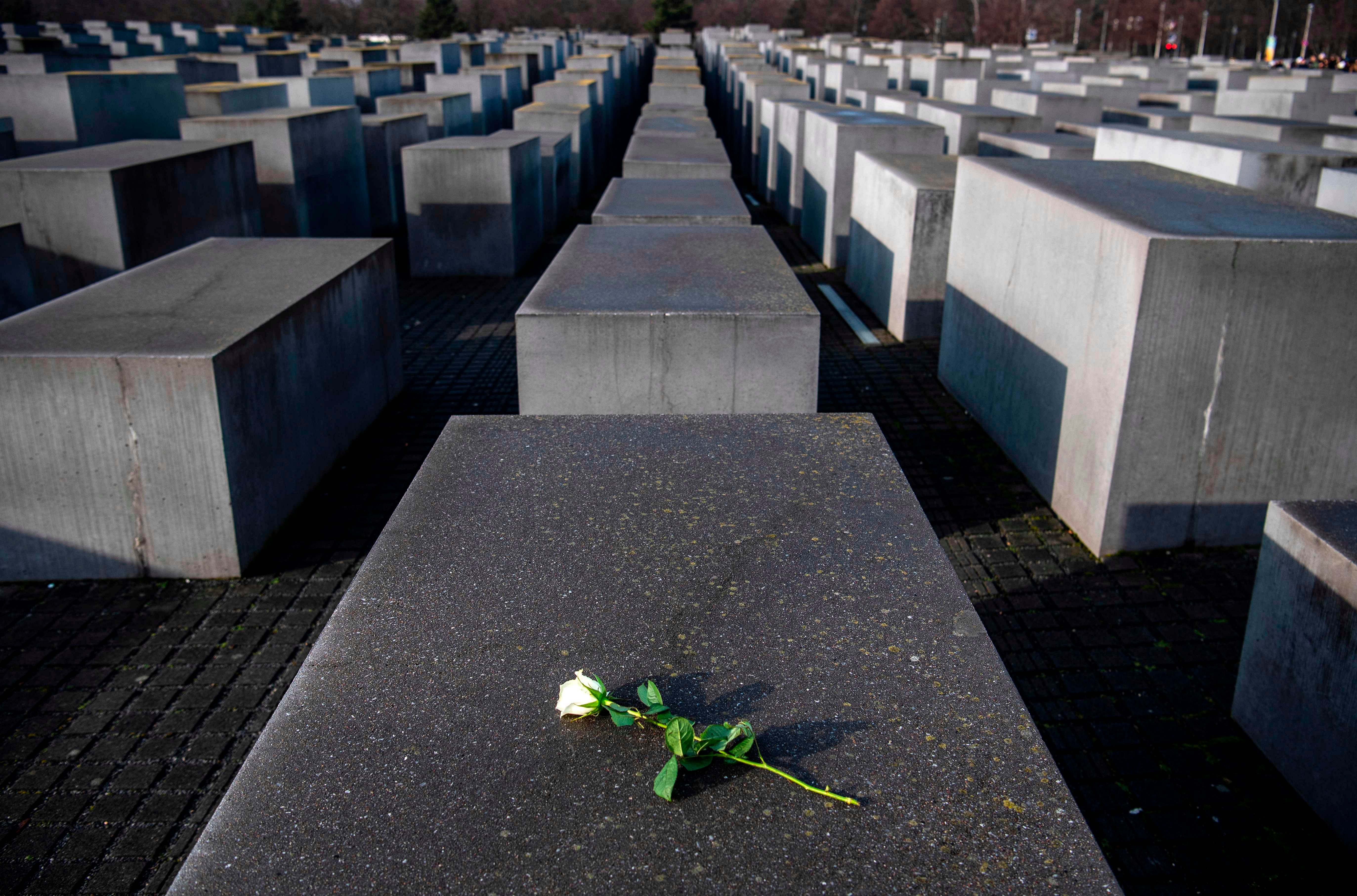 A rose lying on one of the concrete steles of the Memorial to the Murdered Jews of Europe (Holocaust memorial) in Berlin, to commemorate the 75th anniversary of the liberation by Soviet troops of the Auschwitz-Birkenau concentration camp in Poland. (AFP Photo)