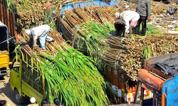 Representational Image--  Workers offloading sugarcane from trucks at K R Marketin Bengaluru. DH Photo-B K Janardhan