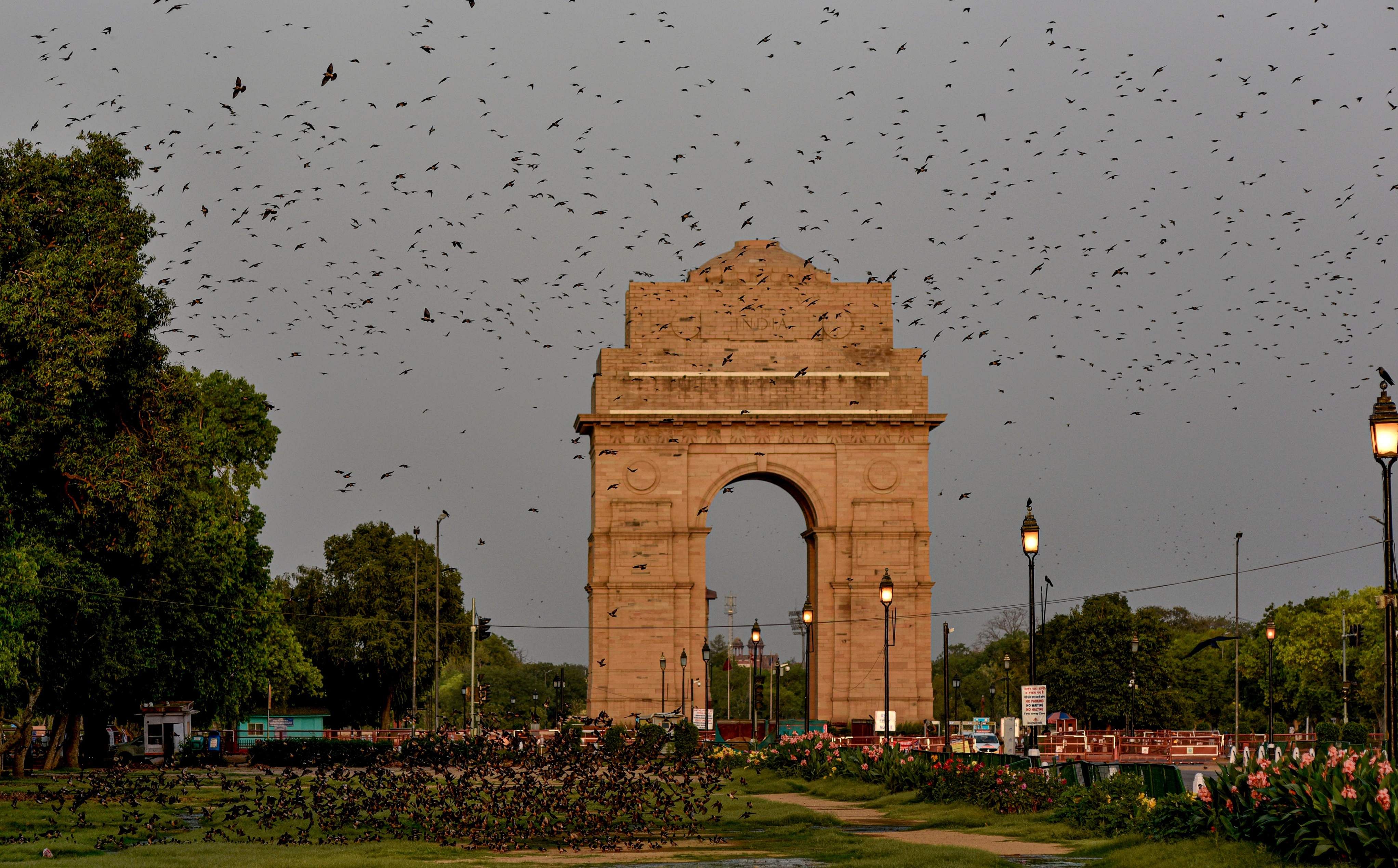 A flock of birds flying over India Gate during a nationwide lockdown, in New Delhi. (Credit: PTI)
