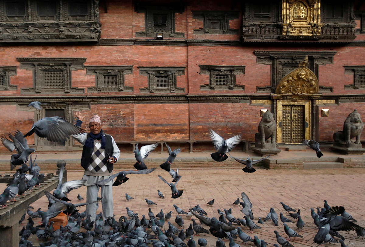 A man feeds pigeons at Patan Durbar Square, a UNESCO world heritage site, following the lockdown imposed by the government amid concerns about the spread of coronavirus disease (COVID-19) outbreak, in Kathmandu. Credit: Reuters Photo