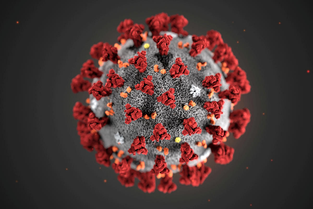 An illustration, created at the Centers for Disease Control and Prevention (CDC), depicts the 2019 Novel Coronavirus. Credit: Reuters Photo
