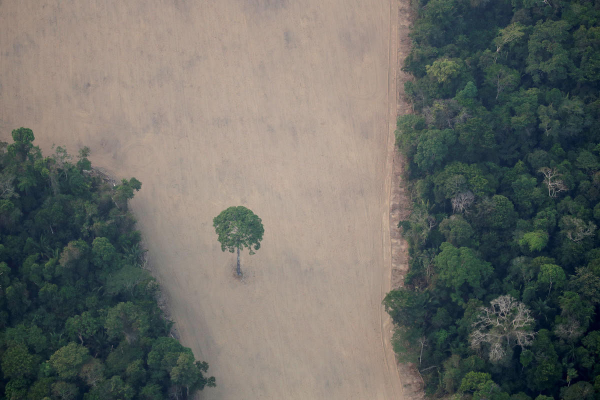 FILE PHOTO: An aerial view shows a deforested plot of the Amazon near Porto Velho. Reuters
