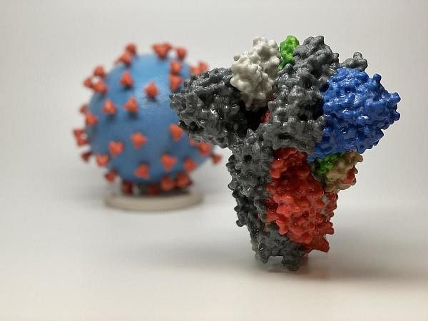 This image obtained March 16, 2020 courtesy of The National Institutes of Health(NIH)/NIAD-RML shows a 3D print of a spike protein of SARS-CoV-2—also known as 2019-nCoV, the virus that causes COVID-19—in front of a 3D print of a SARS-CoV-2 virus particle. (AFP Photo)