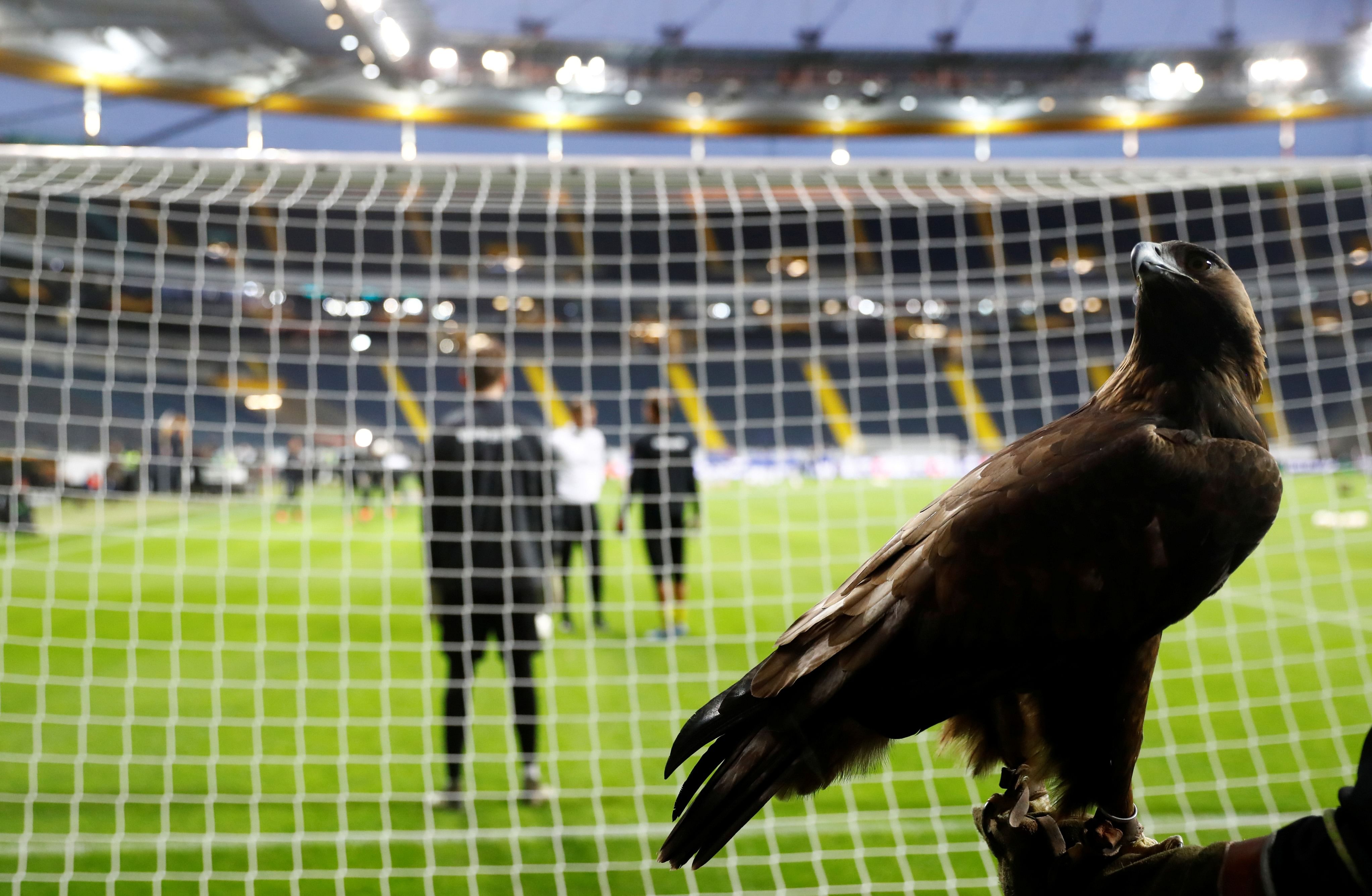 Europe League: Eintracht Frankfurt's mascot Attila the eagle inside the stadium before the match which will be played behind closed doors (Credit: Reuters)