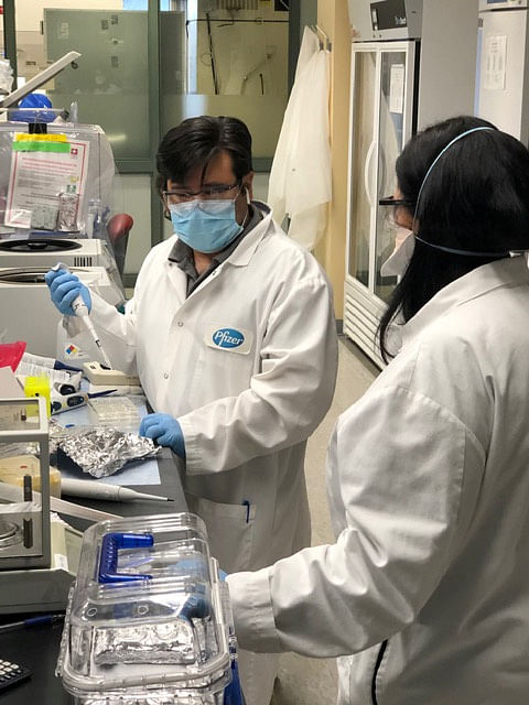 Scientists and researchers work on a potential vaccine for the coronavirus disease (COVID-19) at Pfizer's laboratory in Pearl River, New York. (Reuters)