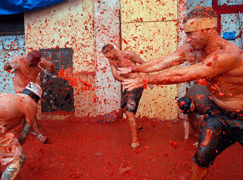 Men throw tomatoes at each other, during the annual tomatina tomato fight fiesta in the village of Bunol, 50 kilometers outside Valencia, Spain, Wednesday, Aug. 27, 2014. AP photo