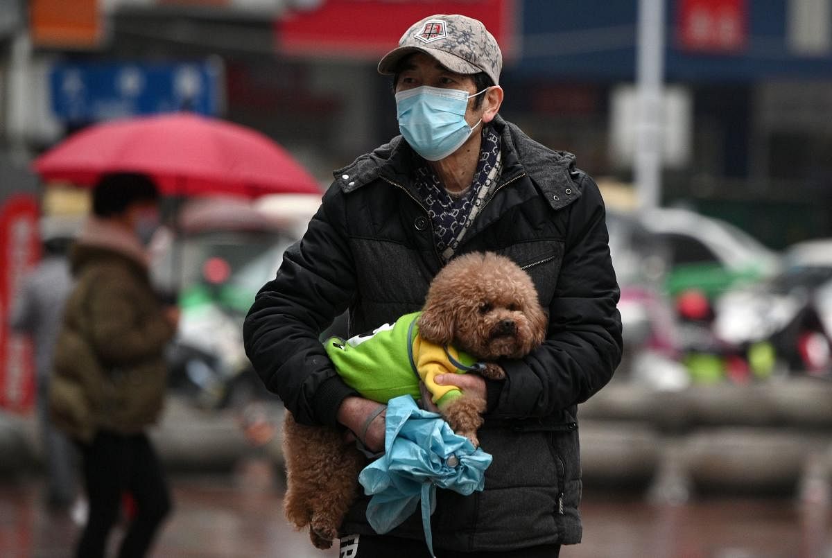 A man wearing a face mask carries his pet dog amid COVID-19 (AFP Photo)