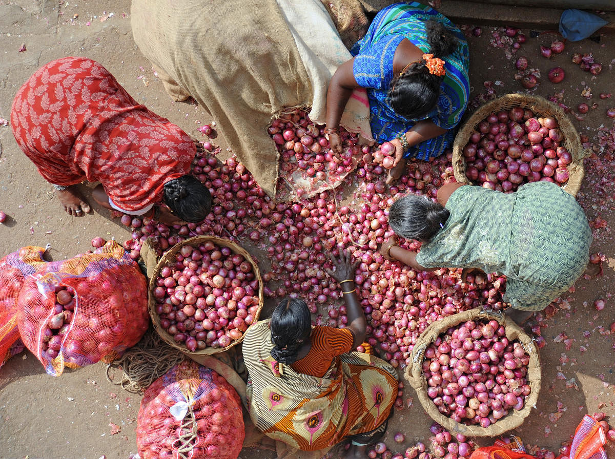 Onions at Yeshwanthpur APMC Yard in Bengaluru on Wednesday. | DH Photo: Pushkar V