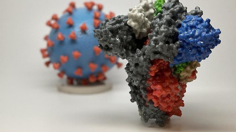 A 3D print of a spike protein of SARS-CoV-2 (coronavirus) (AFP Photo)