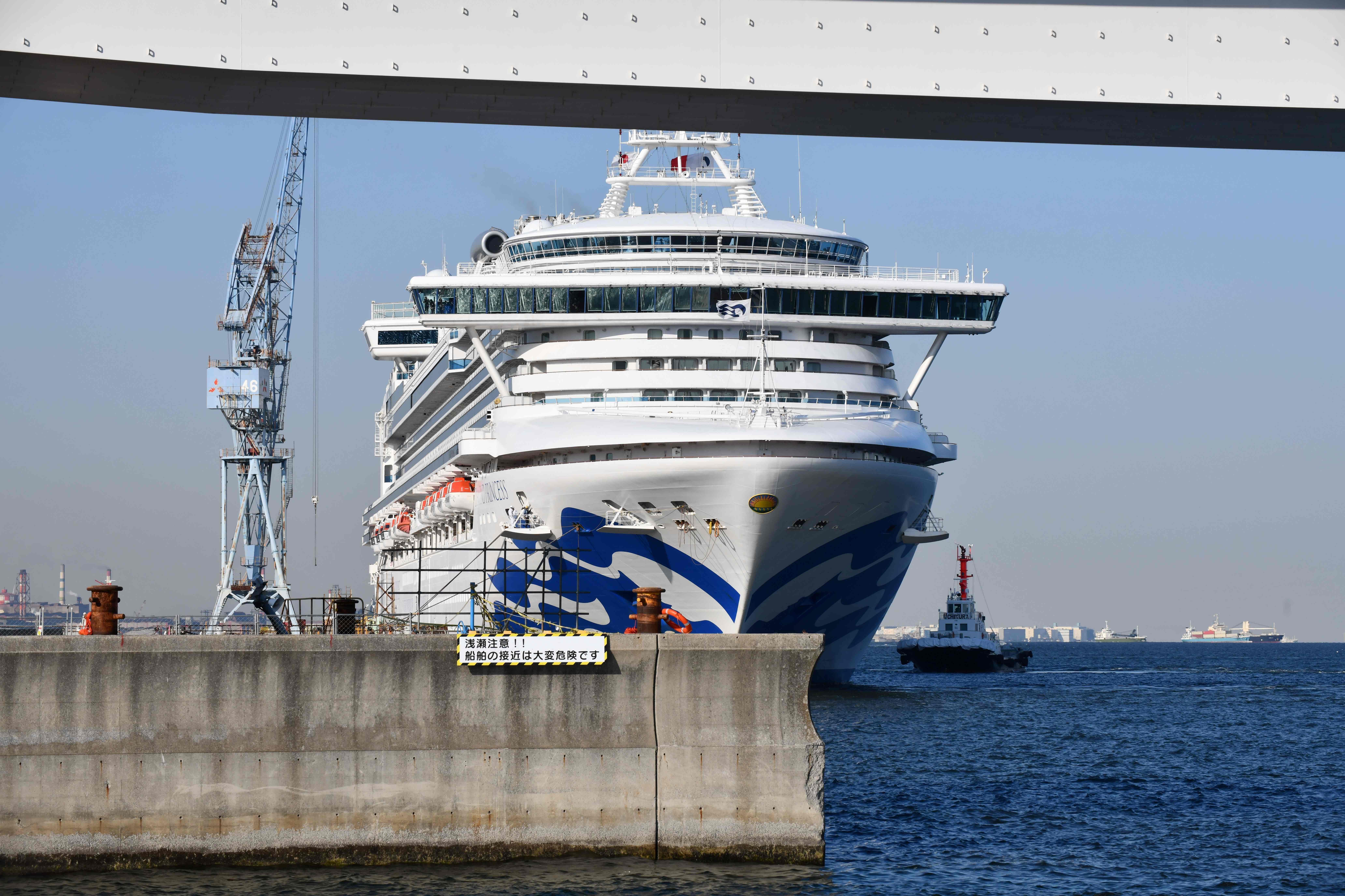 The Diamond Princess cruise ship is seen at a pier in the port of Yokohama. (AFP Photo)