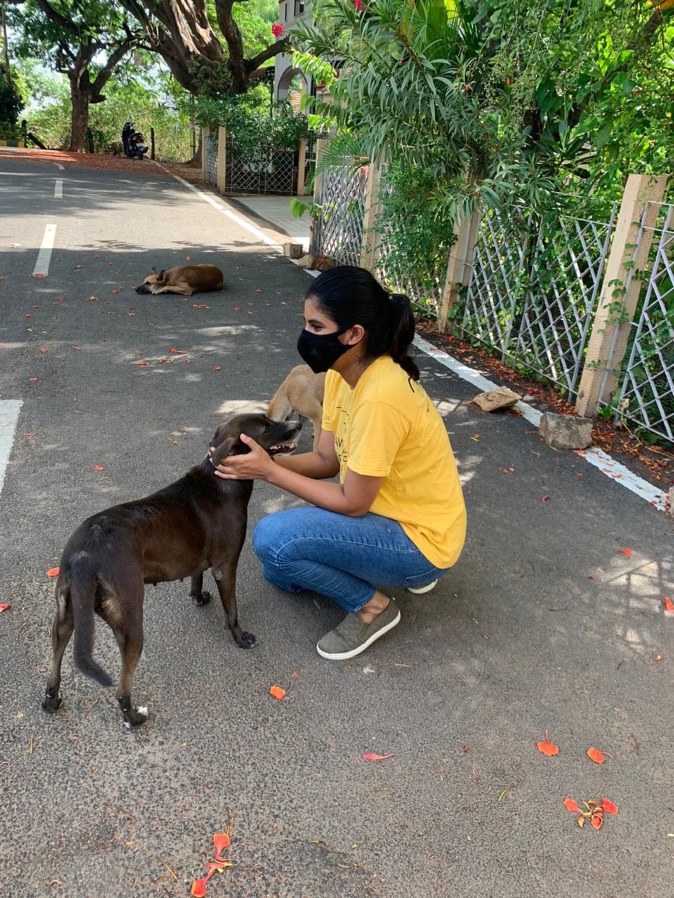 Megha Jose feeding street dogs in Coimbatore. DH Photo