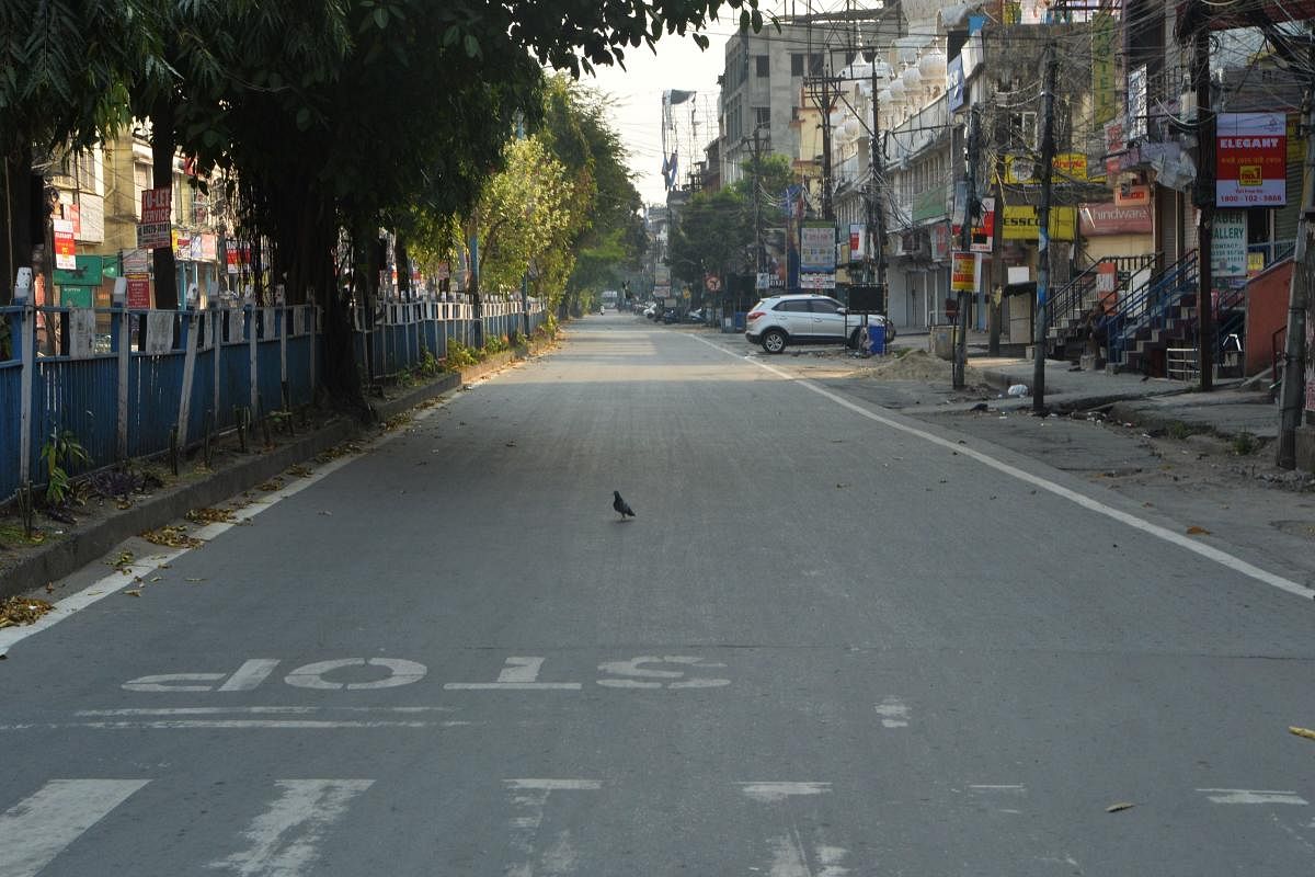 A pigeon walks on a deserted road during a government-imposed nationwide lockdown as a preventive measure against the COVID-19 coronavirus, in Siliguri. AFP