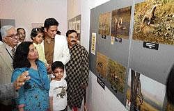 good shots: Cricketer Anil Kumble along with his wife and children having a look at the award winning nature and wildlife photos at an exhibition organised by Youth Photographic Society at Chitrakala Parishat in Bangalore on Thursday.   YPS  Chairman M N Jayakumar and Secretary H V Praveen Kumar look on. DH photo