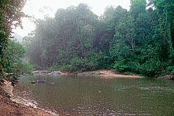 Kallaje stream which flows beside Marakatha Sri Dugaparameshwari
