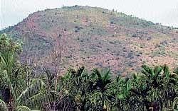 A partial view of Rangappanagudda near Kalasapura in Chikmagalur, where Uranium deposit has been reportedly found. DH PHOTO