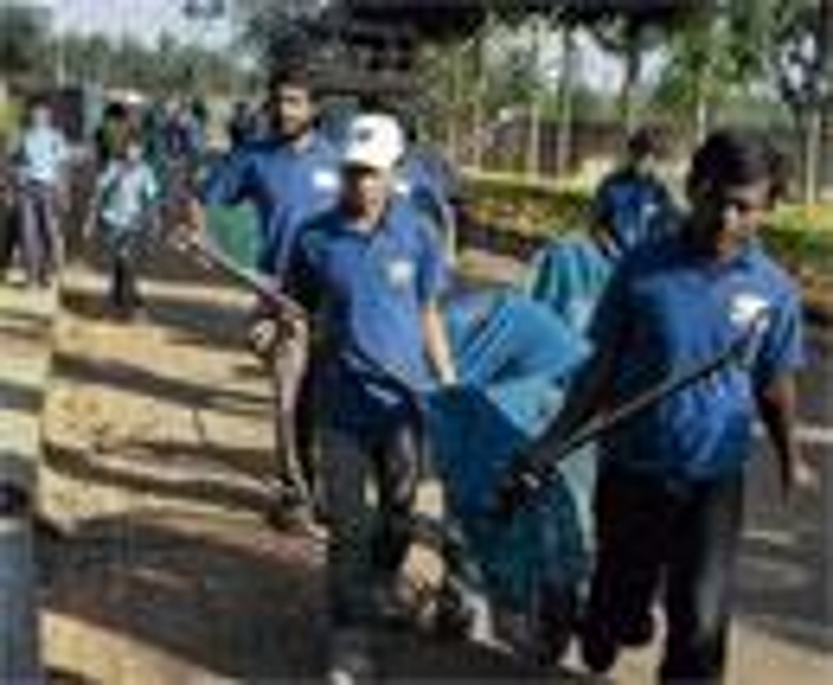 Stray Dogs Bite A Dozen Students stray-dogs-bite-a-dozen-students